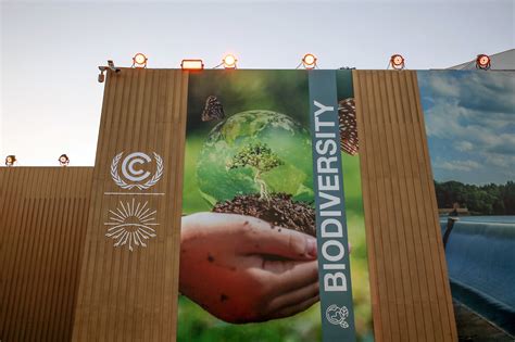 Cop27 Key Outcomes For Food Forests Land And Nature At The Un