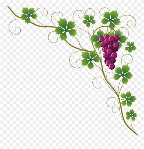 grape vine clipart border - Clip Art Library