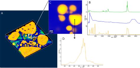 Uhts Ultra Sensitive Spektrometer Witec Raman Imaging Oxford