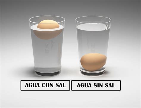 Te explicamos paso a paso cómo hacer que un huevo flote en un vaso