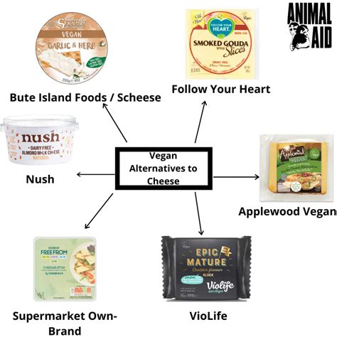 A Guide To Vegan Dairy Alternatives Animal Aid