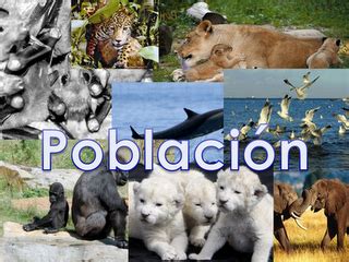 Ecologia Y Medio Ambiente Poblaci N