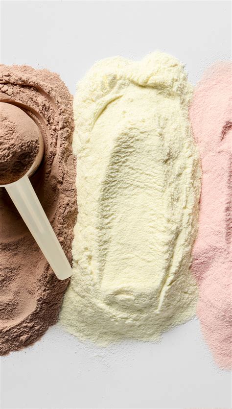 Collagen Powder vs. Protein Powder: What’s the Difference? | Well Daily