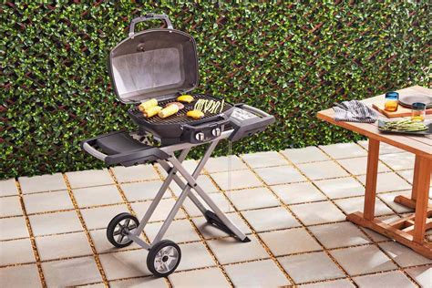 The 4 Best Portable Gas Grills Tested And Reviewed