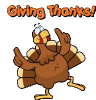 Thanksgiving Turkey Dance GIFs | Tenor