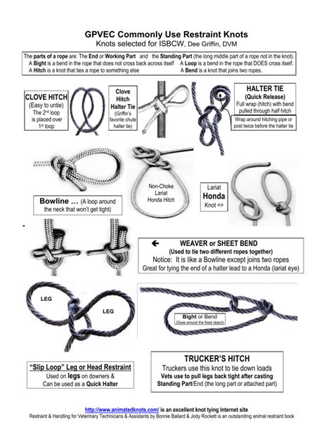 Knots, Restraint, and Cattle Handling