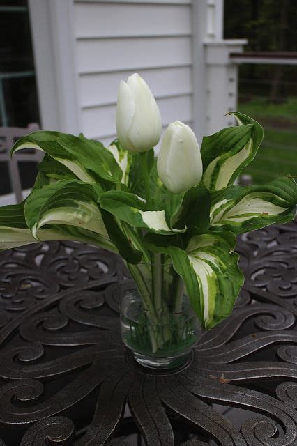 26 best Hosta Arrangements images on Pinterest | Flower arrangements, Floral arrangements and ...