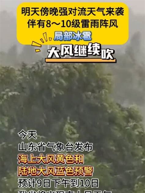 山东省气象台发布海上大风黄色和陆地大风蓝色预警 大风继续吹！ 山东省 大风 气象台 新浪新闻