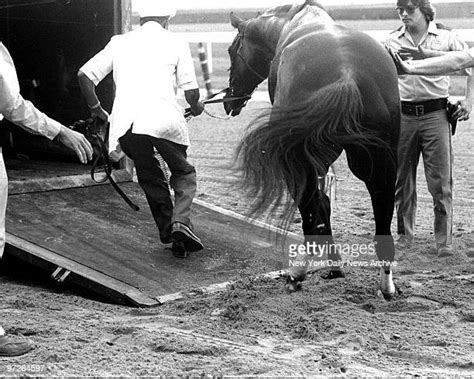 Ruffian (Horse) Photos and Premium High Res Pictures - Getty Images