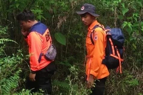 Warga Kerinci Dilaporkan Hilang Usai Pamit Cari Sayur Di Hutan IMCNEWS