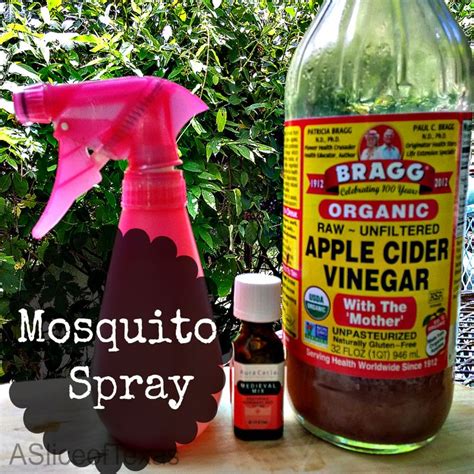 A Slice of Texas : NATURAL MOSQUITO SPRAY - Homemade Mosquito repellent ...