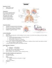 Gas Exchange Study Guide Docx NUR 112 Exam 4 Gas Exchange Respiratory