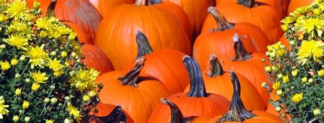 WV Pumpkin Festival At WV Pumpkin Park Milton WV Cabell County ...