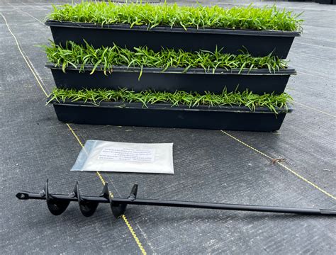 BUNDLE - Centipede grass plugs (50 cell trays), Auger, Soil Moist – NC Grass Plugs