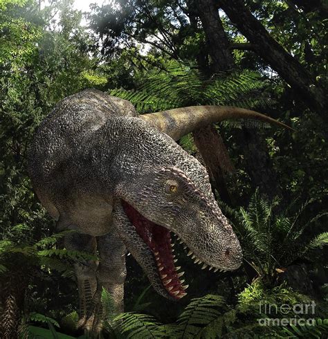 Tyrannosaurus Dinosaur Photograph By Masato Hattoriscience Photo