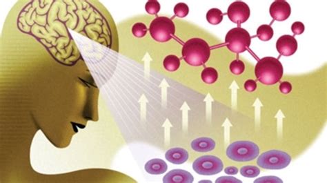 Thought-Controlled Genes Could Someday Help Us Heal - Scientific American