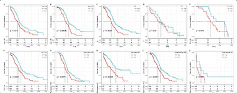 Risk Model And Clinical Features Prognostic Analysis Download