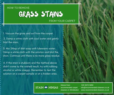 How to remove grass stains from your carpet by Stain Ninjas - Issuu