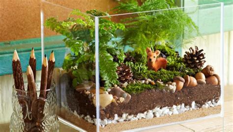 Adorable Miniature Terrarium Ideas For You To Try Miniature