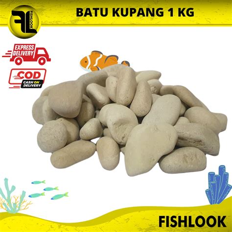 Jual Batu Alam Koral Tabur Kerikil Hias Putih Kupang 1 KG Shopee