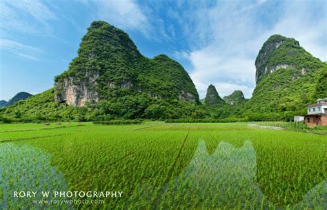 Rice Fields and Karst Peaks, Yangshuo, China | Rory W Photography