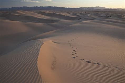 Free Images Beach Coast Sunlight Usa California Desert Landscape