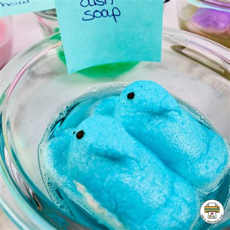 Dissolving Peeps Pre K Printable Fun