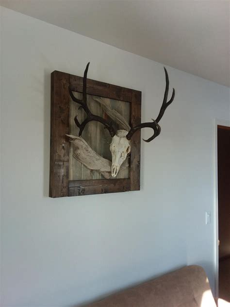 Diy European Skull Mount Up On The Wall Turned Out Great Deer