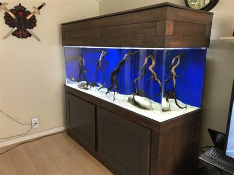 For Sale 180 Gallon Acrylic Aquarium With Stand Canopy And 2 Fx6s