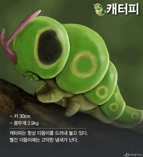 포간충 포켓몬 보고 발기하는 사람을 위해 만든 3d 백업 유머 게시판 2015 2017