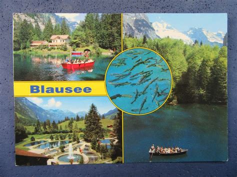 AK BEO BLAUSEE SCHIFF FISCHE BELEBT BESTOSSEN Kaufen Auf Ricardo