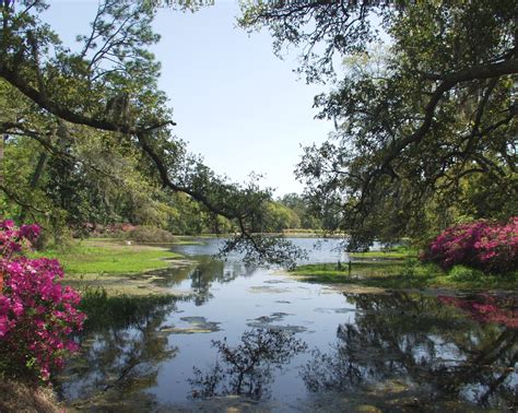 Airlie Gardens In Wilmington North Carolina Is Hidden In Suburbia But