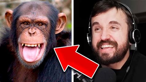 Esse Macaco É Mais Inteligente Do Que VocÊ Youtube