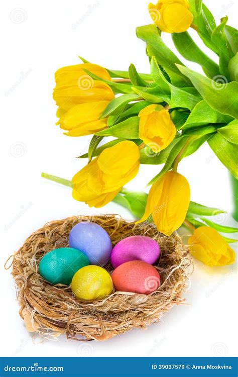 Easter Eggs In The Nest And Tulip Flowers Stock Image Image Of Happy