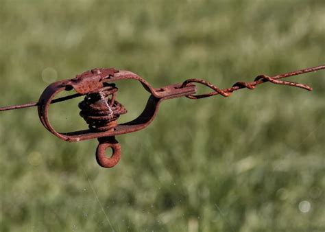 Free Images Nature Branch Barbed Wire Meadow Prairie Leaf