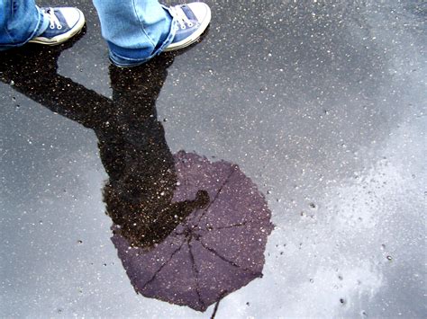 puddle reflection by Mustardplz on DeviantArt