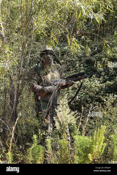 Camouflaged Hunter In Jungle Like Area With Sniper Rifle Looking