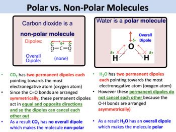 Polar and Non-Polar Molecules by Teach Science And Beyond | TPT