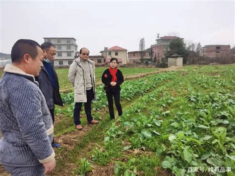 邵东：加快推进绿色种养循环，助力乡村振兴和化肥减量增效