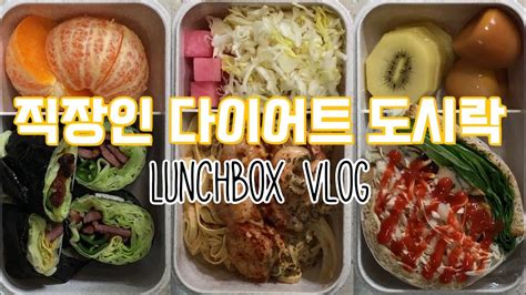 직장인 도시락 Vlogㅣ양배추로 만드는 다이어트 도시락 🍱 Youtube