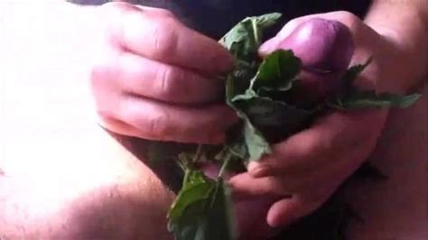 Futlick 4 Free Solo Man Porn Video 9d XHamster