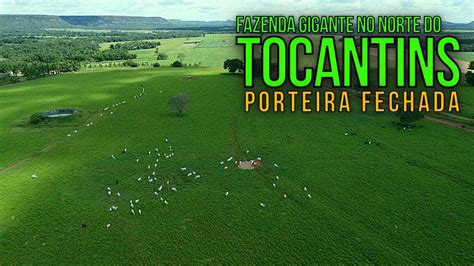 Enorme Fazenda A Venda No Norte Tocantins Dupla Aptid O Youtube