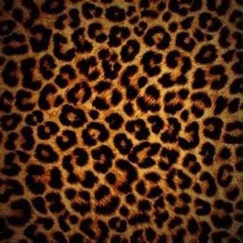 Cheetah Print Wallpaper Hd / 1920 x 1200 jpeg 1243 кб. - bmp-barnacle