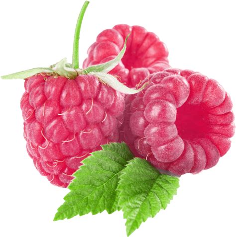 100 Raspberries Png Images