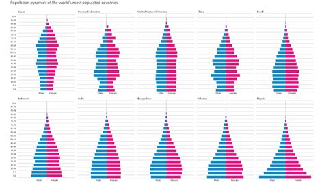 Population Pyramids Of Worlds 10 Most Populated Countries Created In