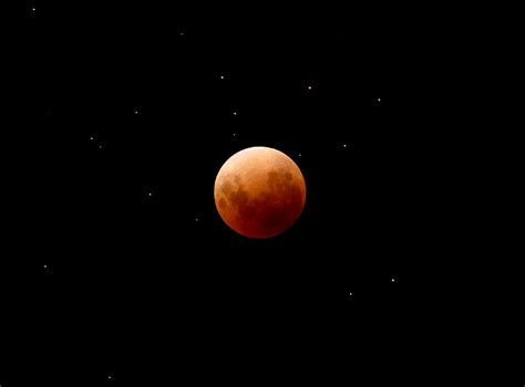 Super Red Blue Moon Eclipse Photograph By Evelyn Tambour