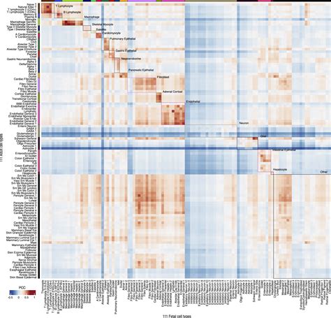 A Single Cell Atlas Of Chromatin Accessibility In The Human Genome Cell