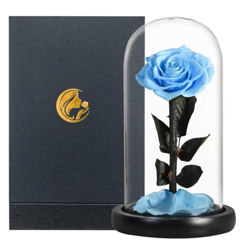 Rose Ternelle Naturelle Bleue Ciel Sous Cloche En Verre Coffret