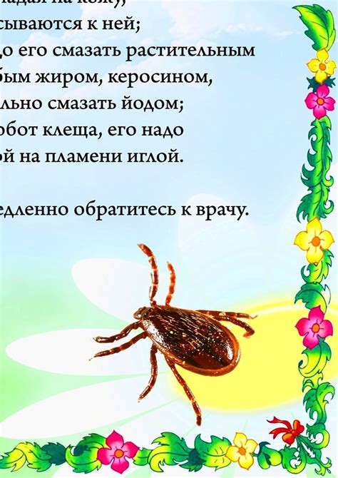 Остерегайтесь клещей фрагмент 4 - Все для детского сада