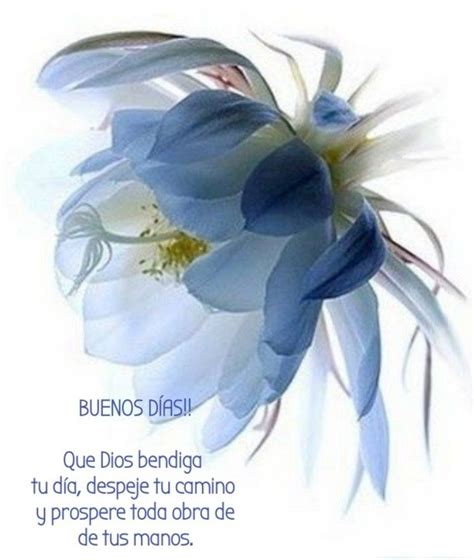 Pin By Gabby Hern Ndez On Saludos De Buenos D As Special Friend